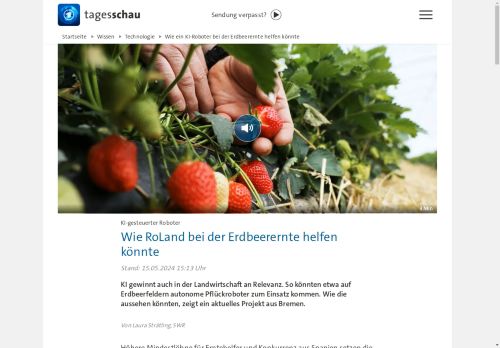 Vorschaubild Wie ein KI-Roboter bei der Erdbeerernte helfen könnte