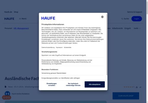 Vorschaubild Ausländische Fachkräfte in Engpassberufen